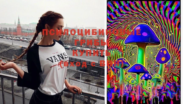 бошки Верхнеуральск