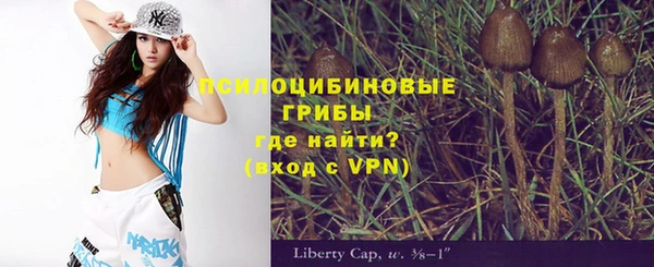 Альфа ПВП Бугульма