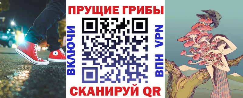 Псилоцибиновые грибы GOLDEN TEACHER  Кашира 