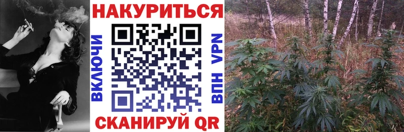 кракен ссылки  Кашира  МАРИХУАНА конопля  цены  